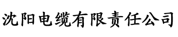 亚洲日韩精品在线电缆厂logo